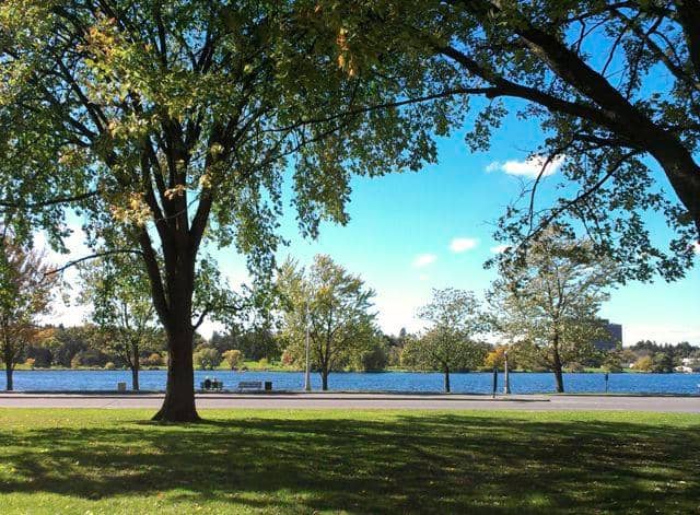 Dominion Arboretum