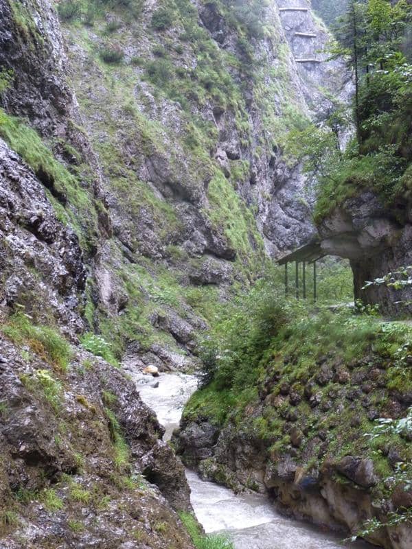 Vertical photo