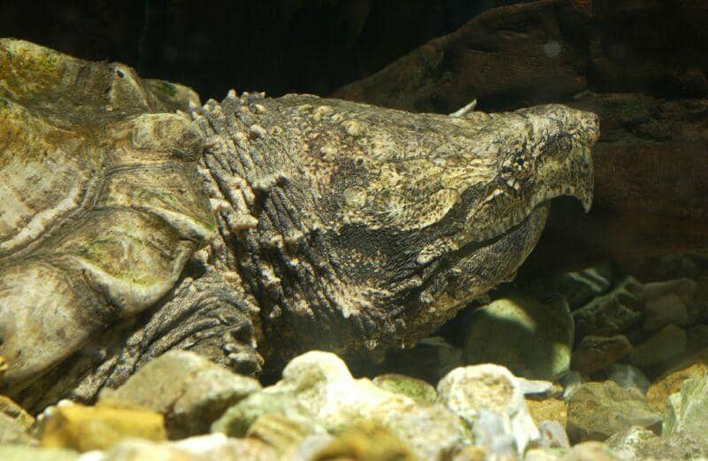 Kid-Friendly Discovery Zone