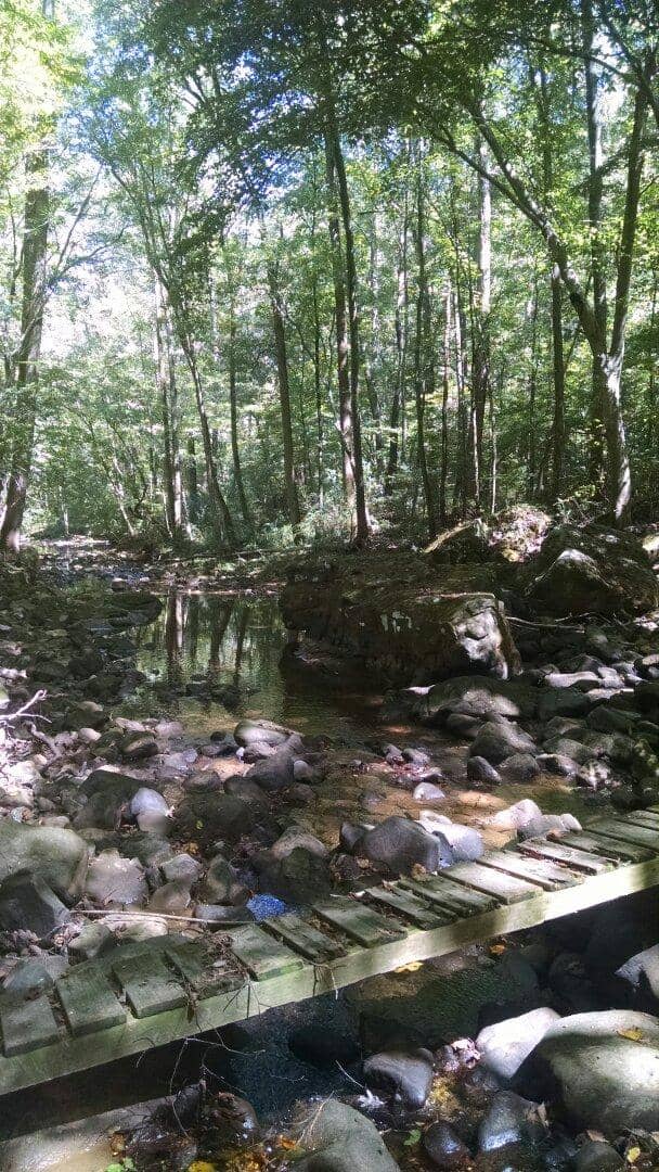 Mossy Rock Formations