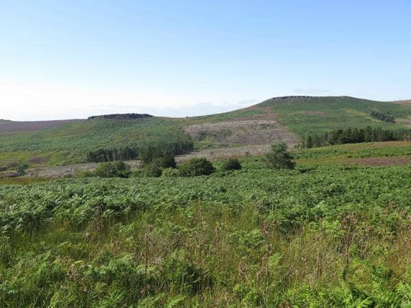 Dramatic Gritstone Outcrops
