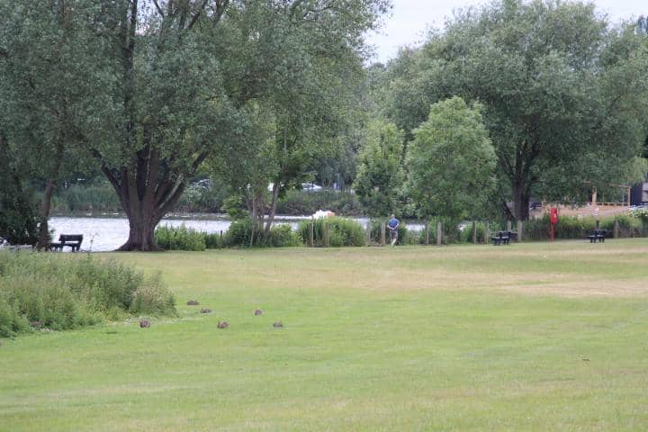 Boating Lake Stroll