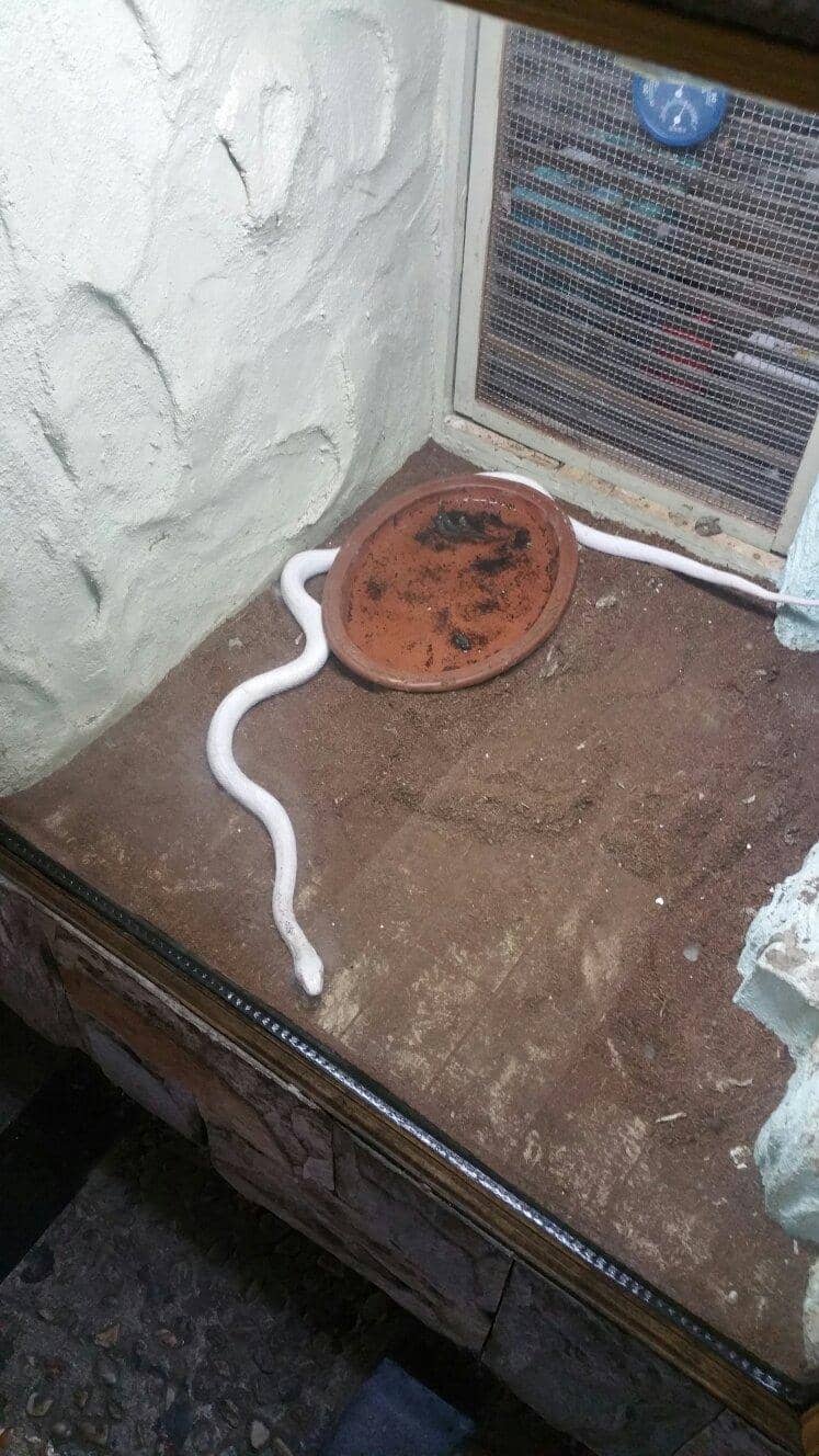 Educational Exhibits