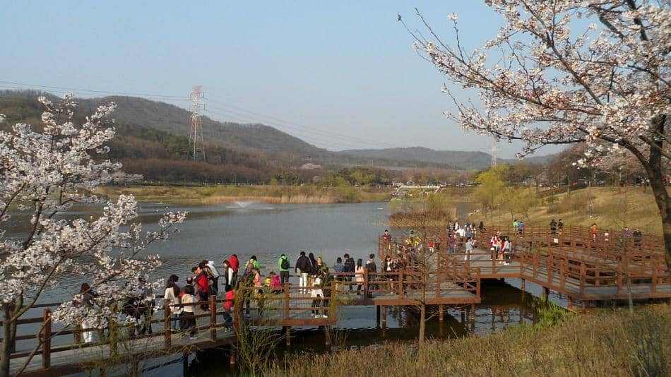 Incheon Zoo