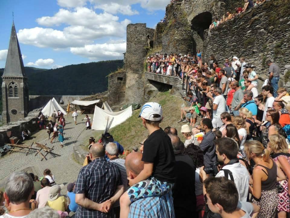 Falconry Displays