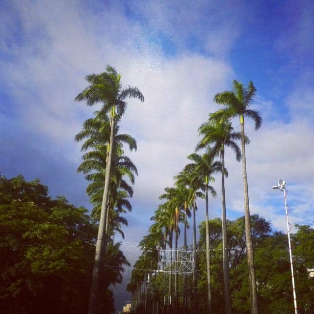 Espaço do Conhecimento UFMG
