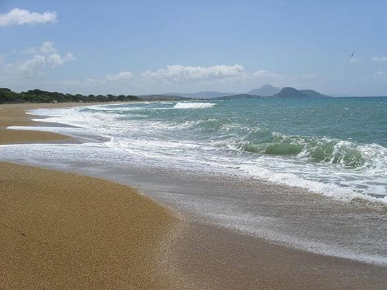 Serene Dune-Backed Nature