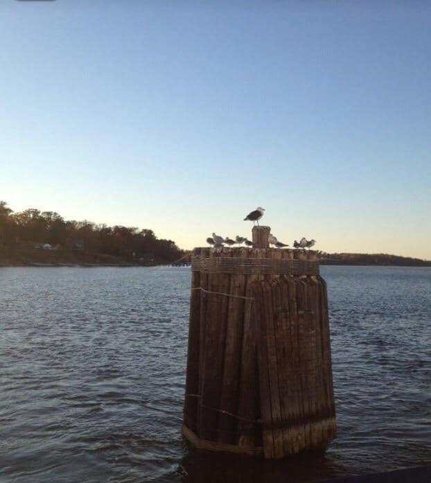 Vertical photo