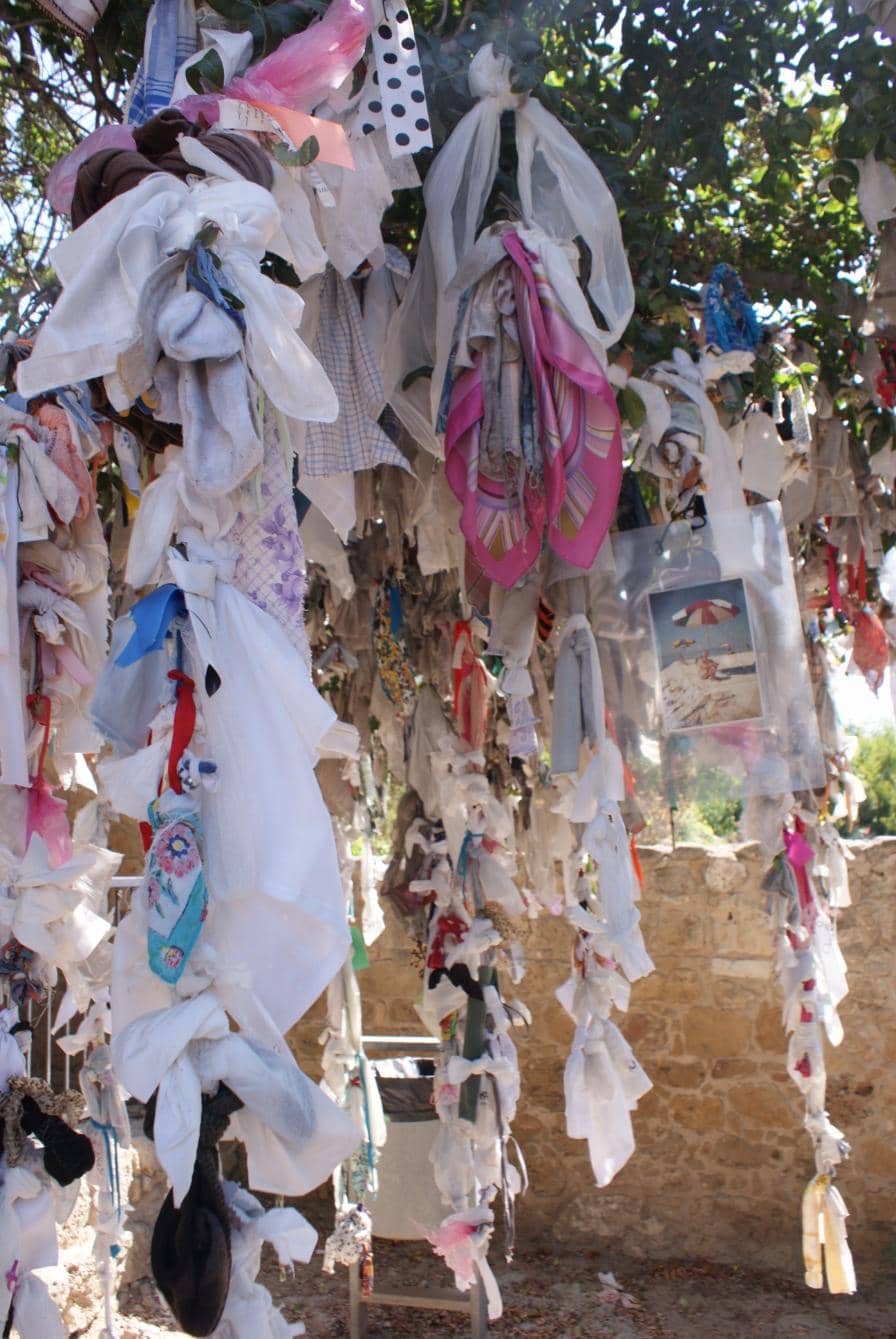 The Sacred Terebinth Tree