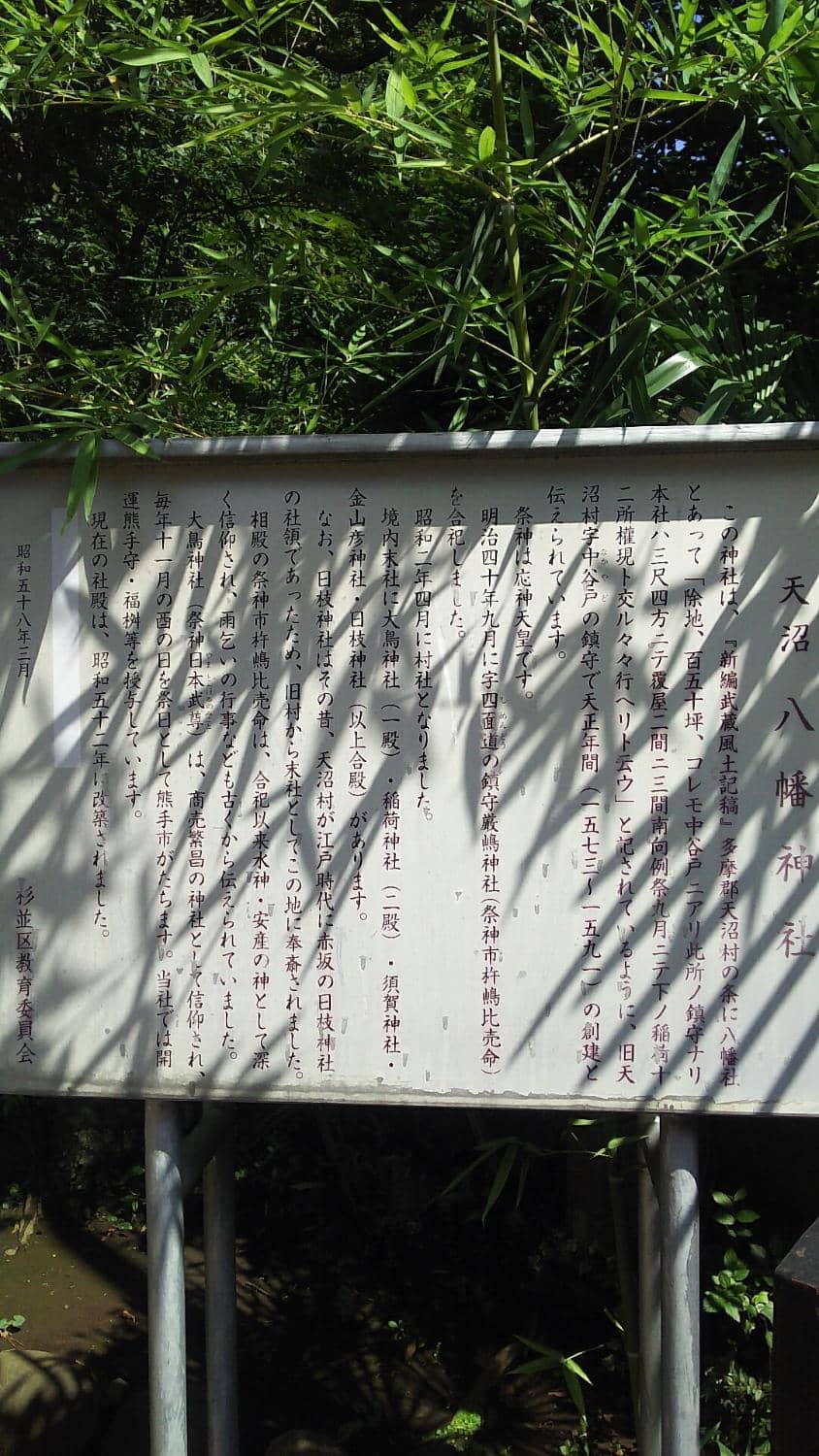 Vertical photo