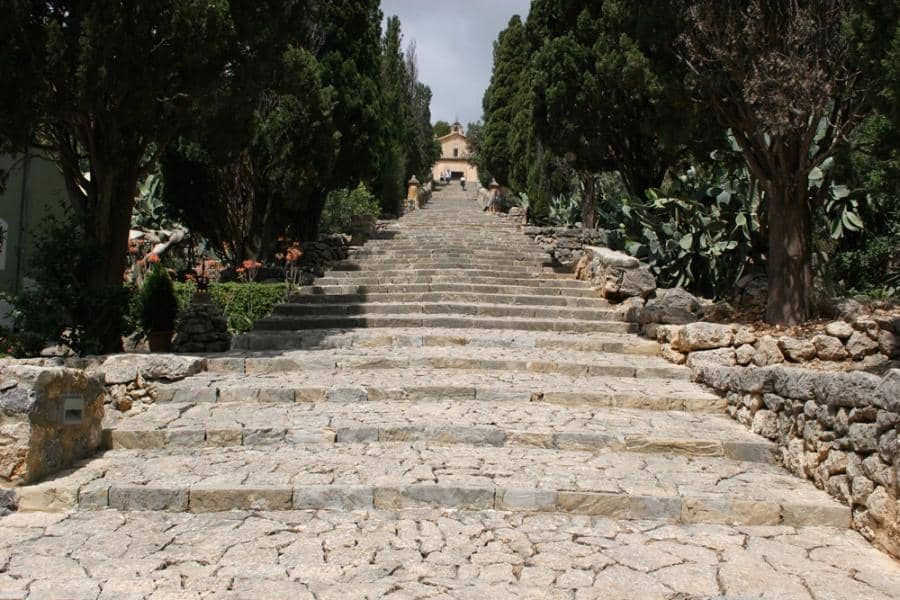 The 365 Cypress-Lined Steps