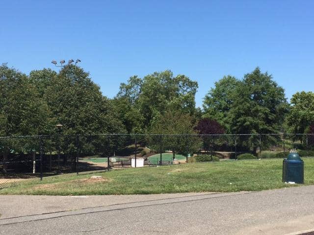 Observation Tower Views