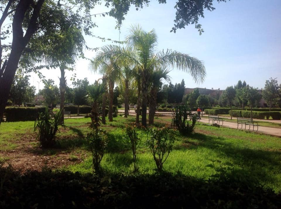 Antique Wooden Doors