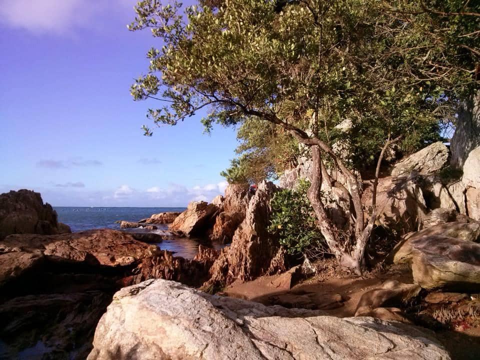 Vertical photo