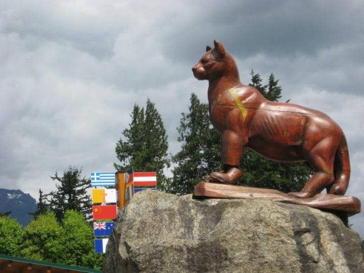 Old-Growth Forest Trail