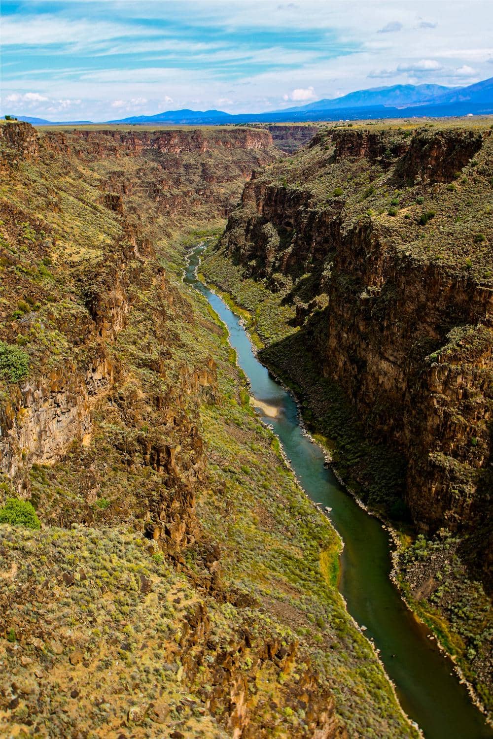 Local Artisan Vendors