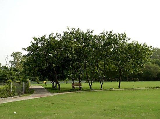 Children's Play Zone
