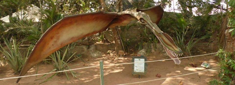 Detailed Lunar Observations