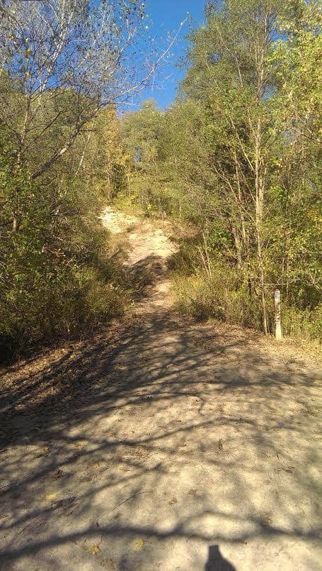 Disc Golf Course