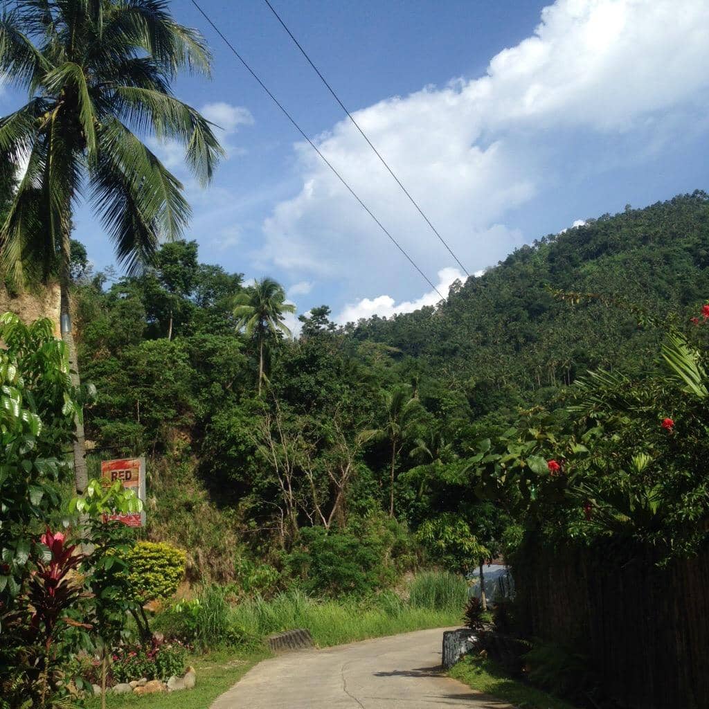 Vertical photo