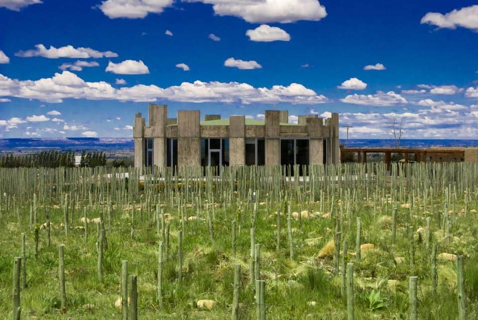 Organic Garden Experience