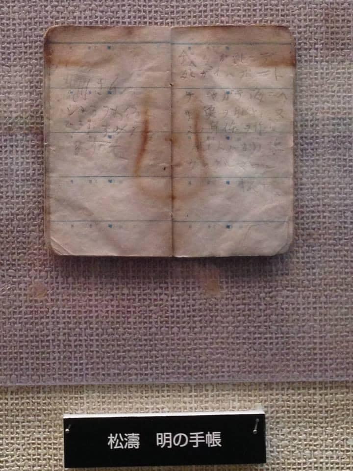 Panoramic Northern Alps View