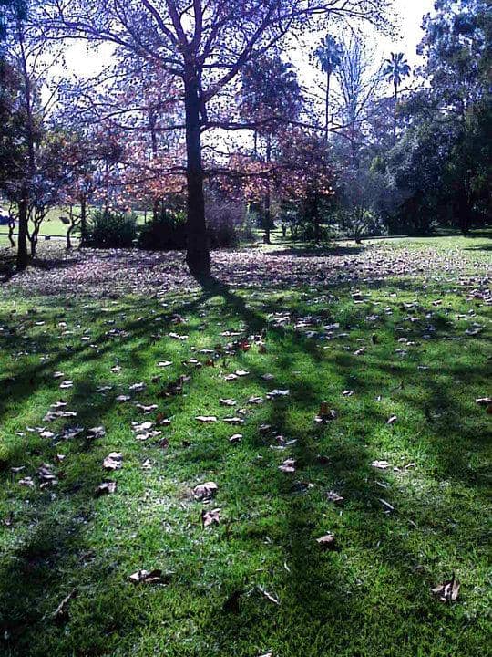 Vertical photo