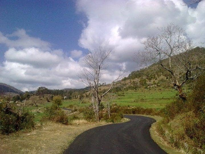 "Pona Raja" Sculpture