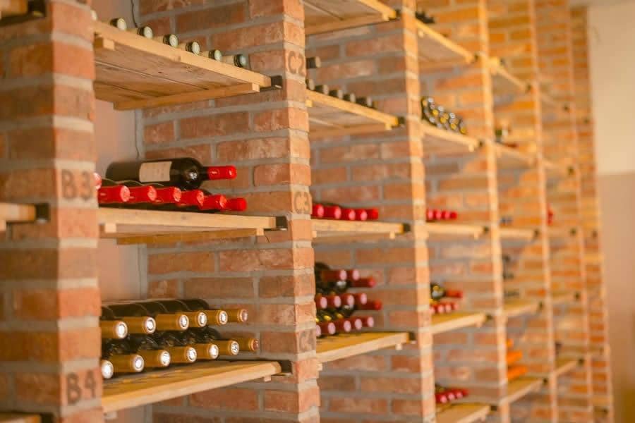 Plant-Based Delights