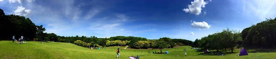 Scenic Walking Trails