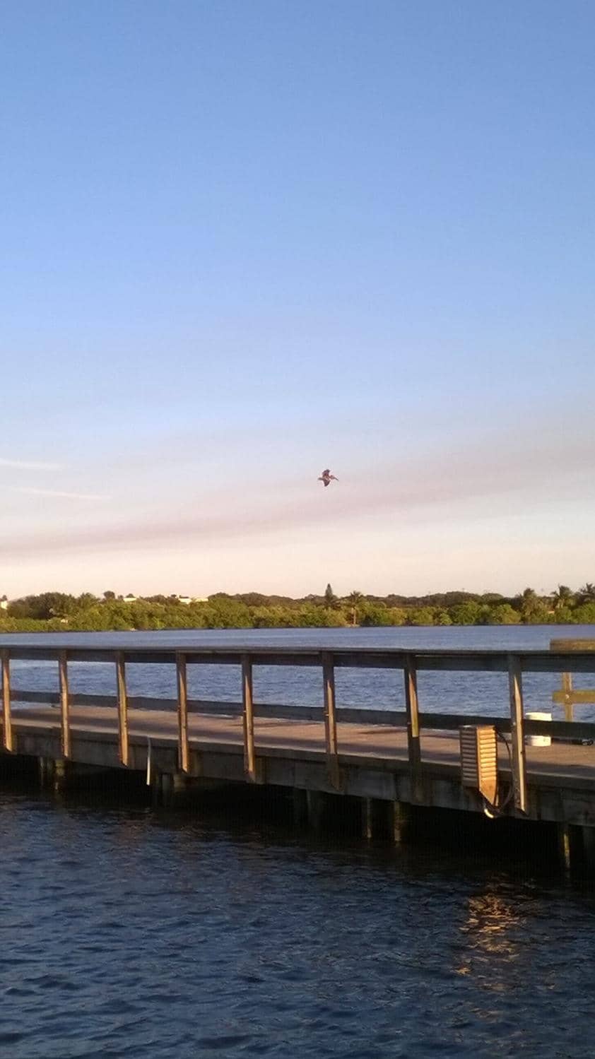 Scenic Waterfront Views