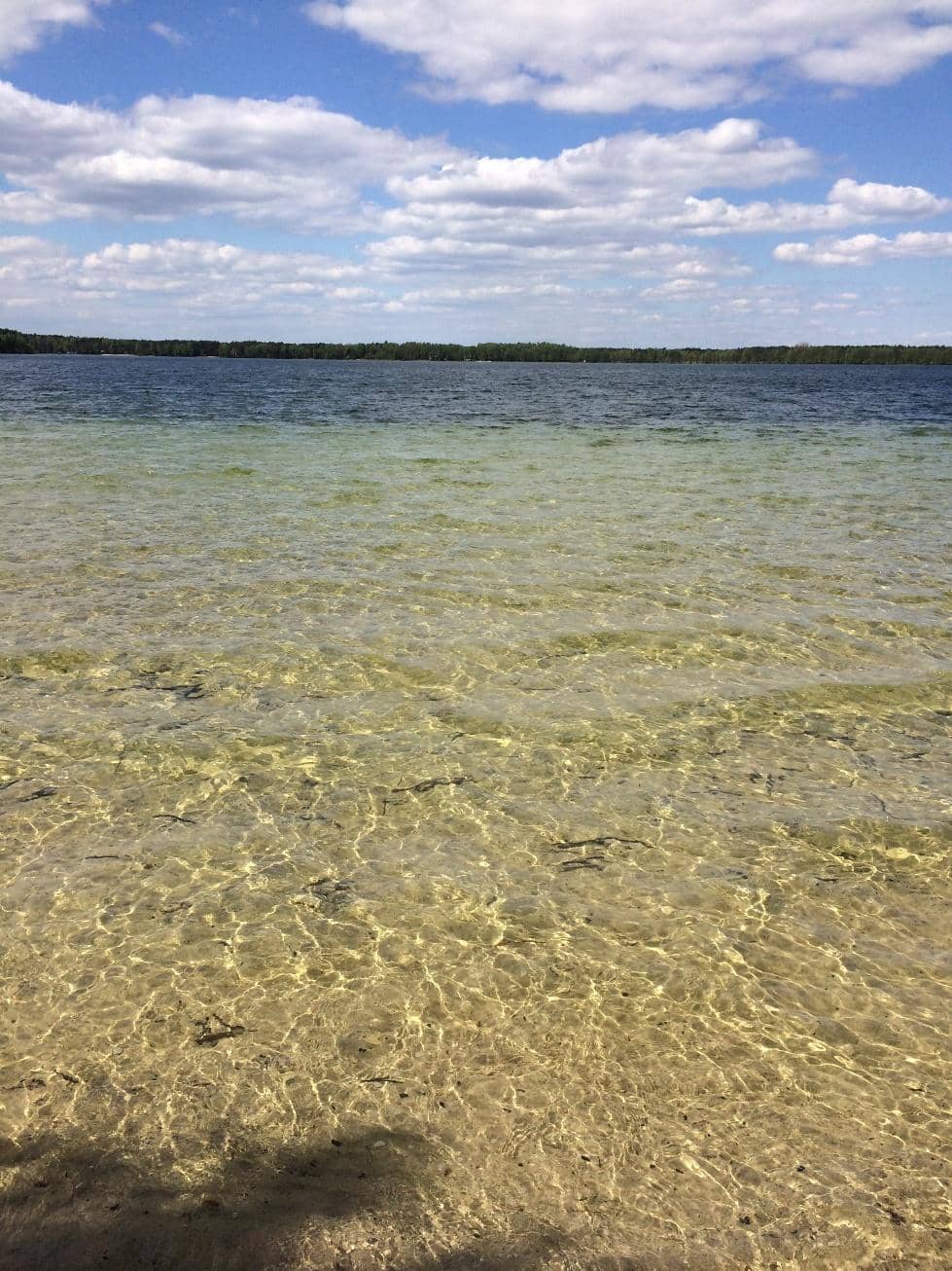 Vertical photo