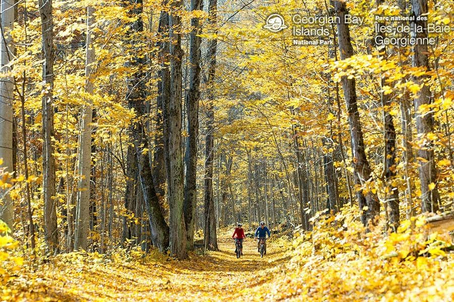 Carolinian & Boreal Forest Transition