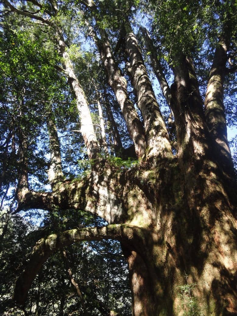 Vertical photo