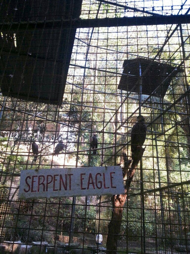 Architectural Heritage