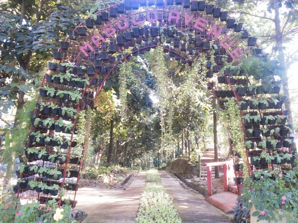 Biodiversity Haven