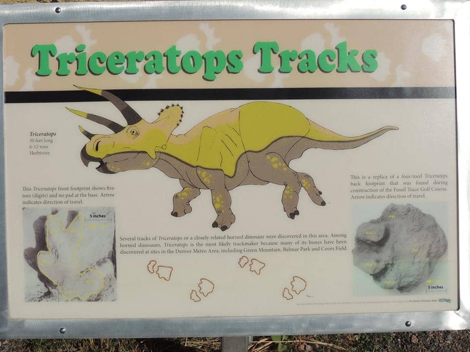 Duck-Billed Dinosaur Tracks