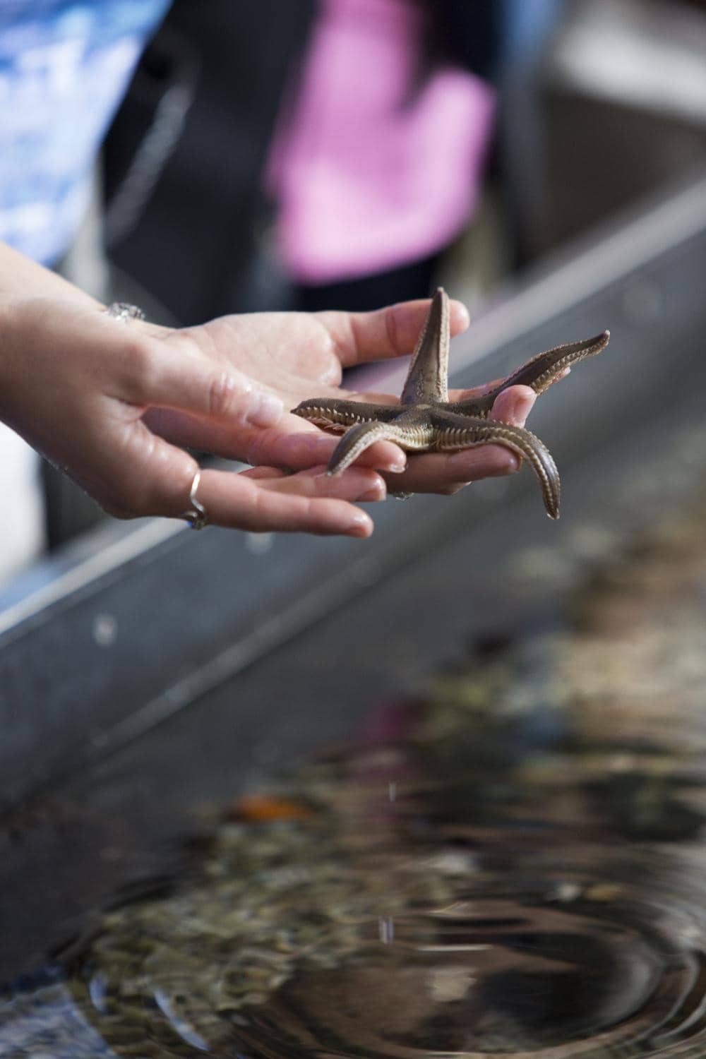 Scenic Beach Relaxation