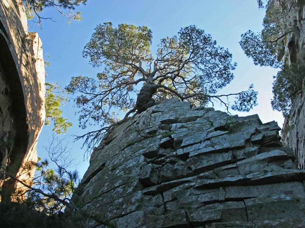 Vertical photo