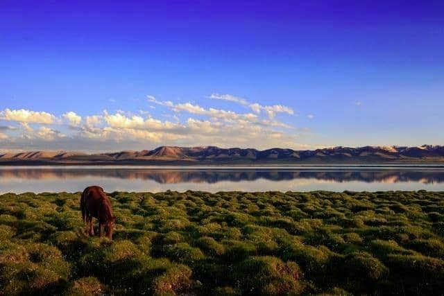 Horseback Riding Adventures