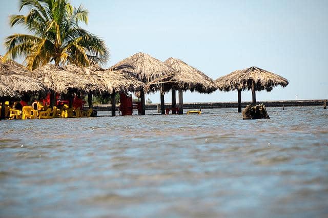 Vibrant Beachfront Dining