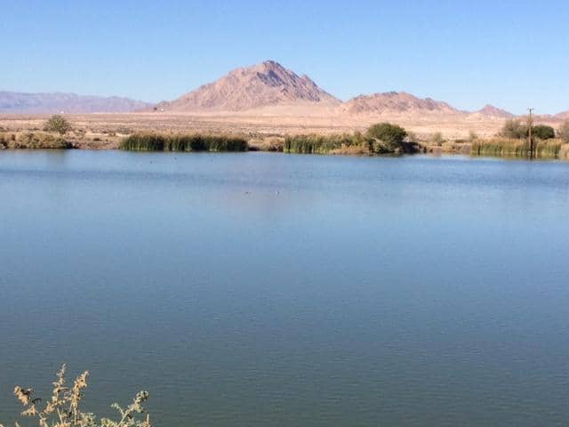 Pond Overlooks