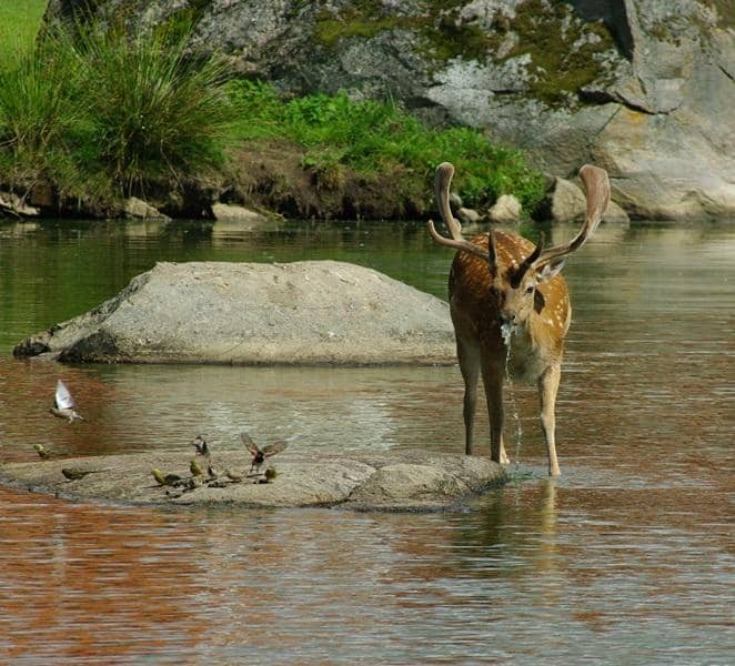 Vibrant Eriksberg Neighborhood