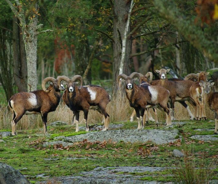 Spacious and Clean Rooms