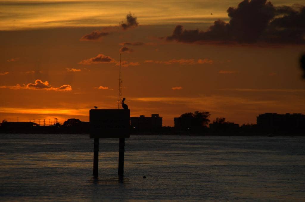 Pelican Haven