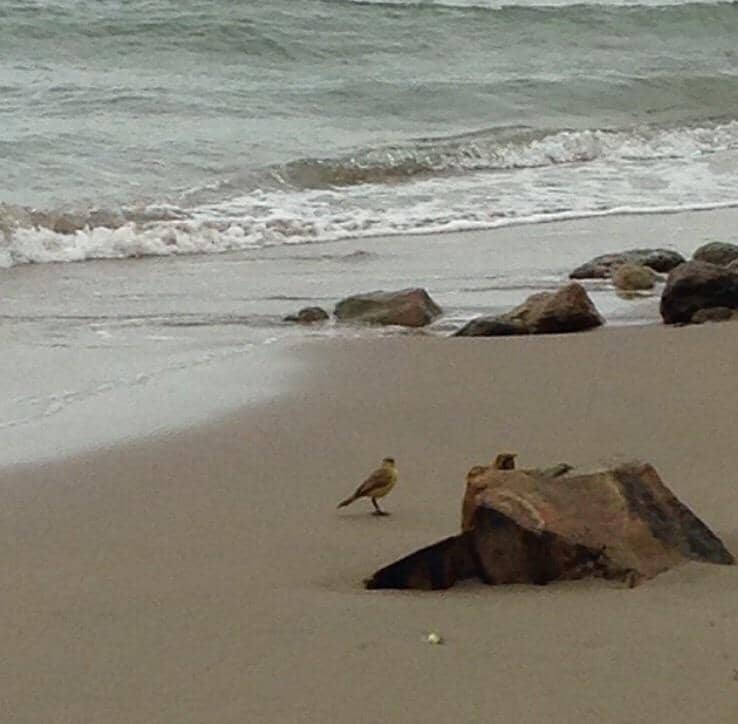 Kitesurfing Paradise