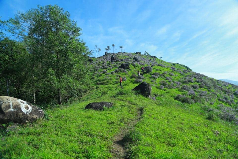 Misty Mountain Sunrises & Sunsets