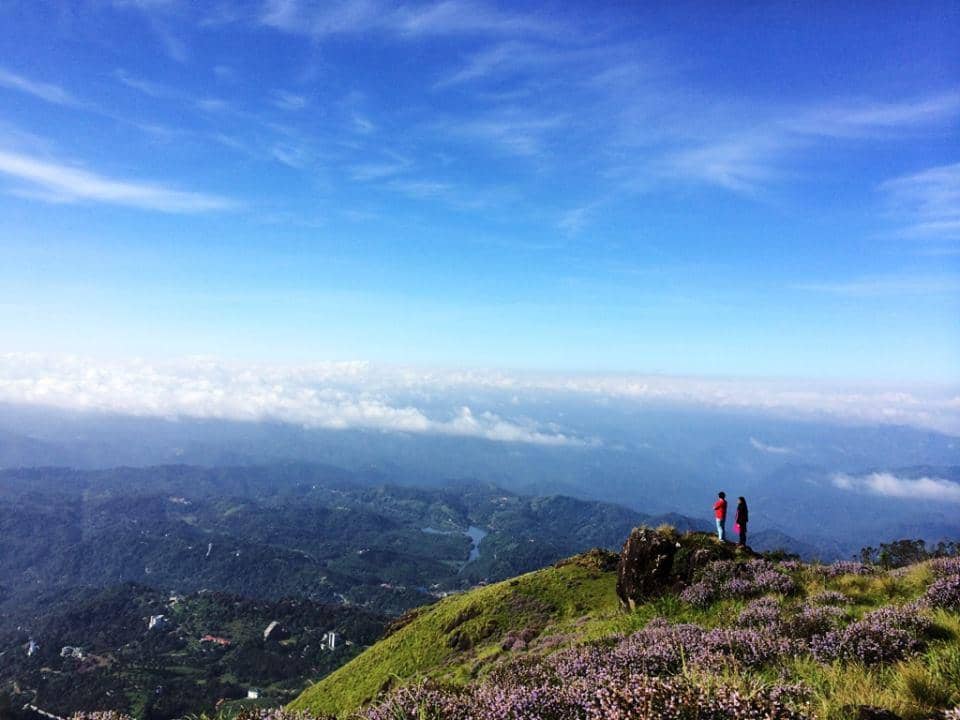Panoramic Tea Estate Views