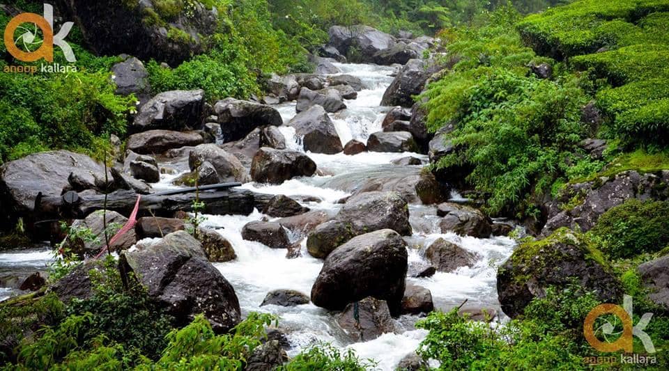Elephant Abode Boating