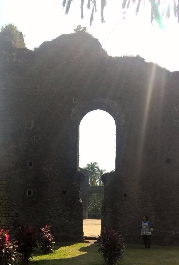 Vertical photo